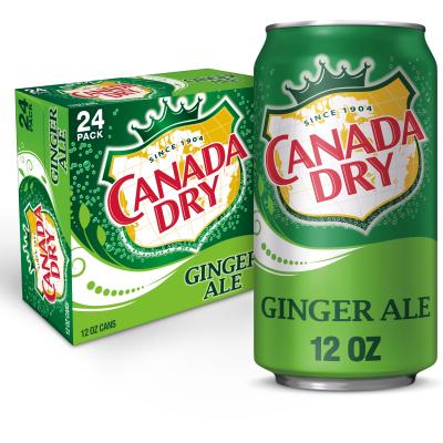 Canada Dry Ginger Ale – 2 L Bottle